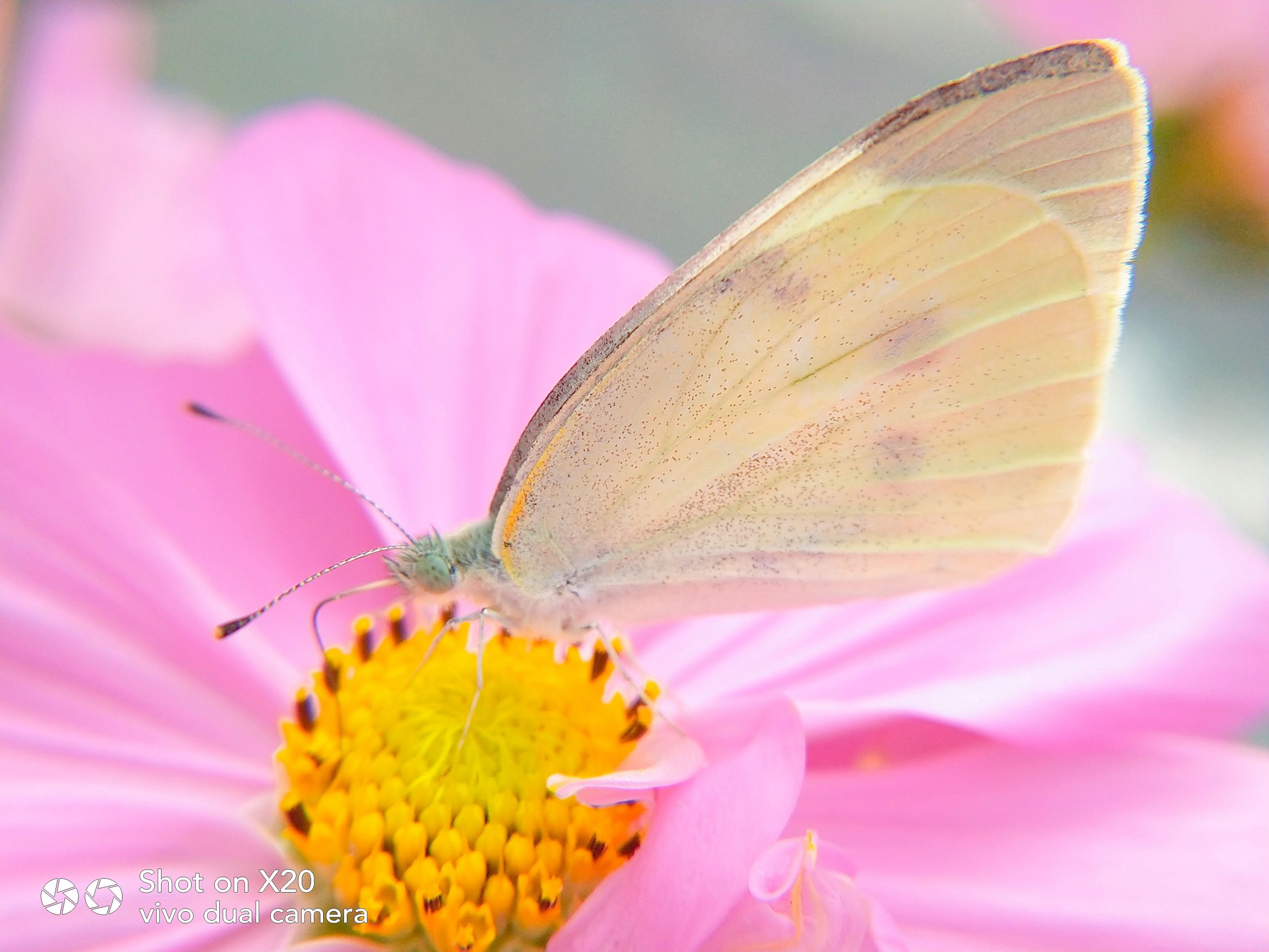 国庆杯朋友圈摄影大赛,加入国庆朋友圈摄影大赛