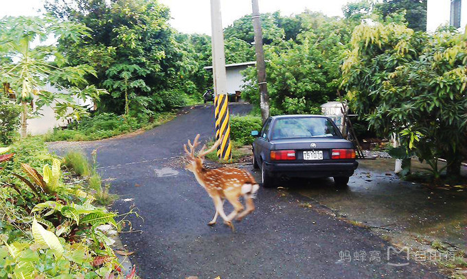 垦丁包车一日游价格,垦丁两日游价格