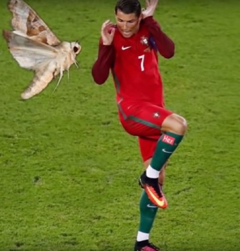 不信你不笑搞笑视频,不信你不笑幽默搞笑视频