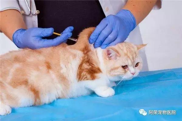 医生打针为什么有一点水出来,医生打疫苗后不小心又扎了一针