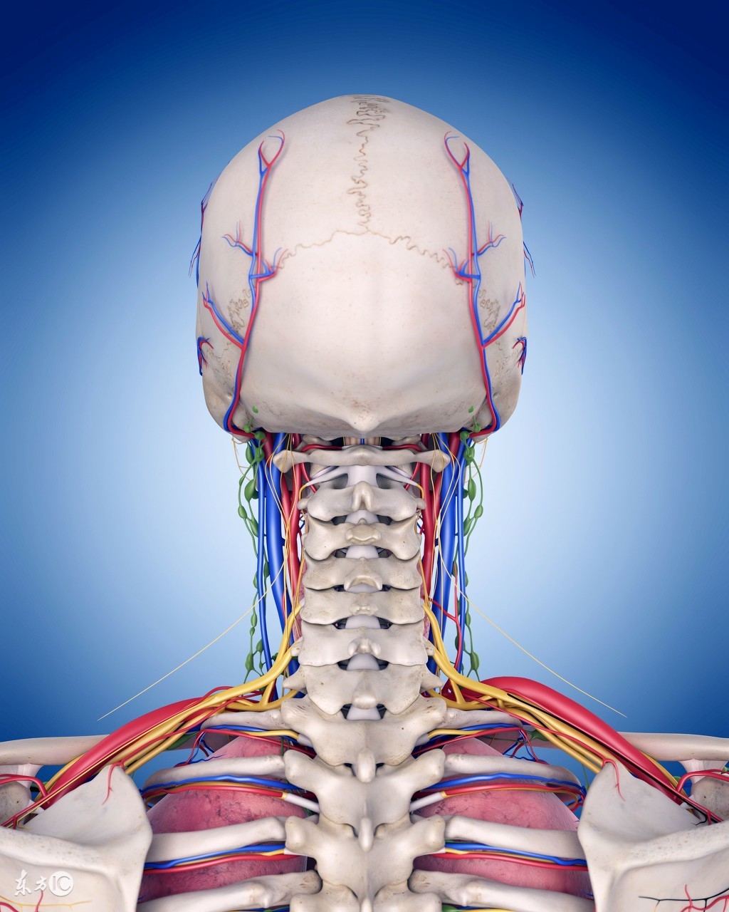 重庆治疗颈椎病最好的医院,治疗颈椎病的锻炼方法视频