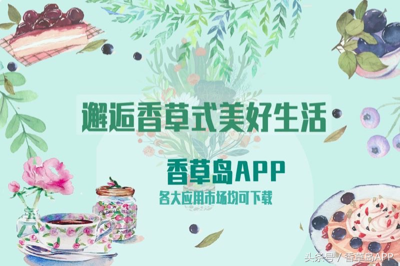 澳洲茶树的发展史,澳洲茶树是松树吗