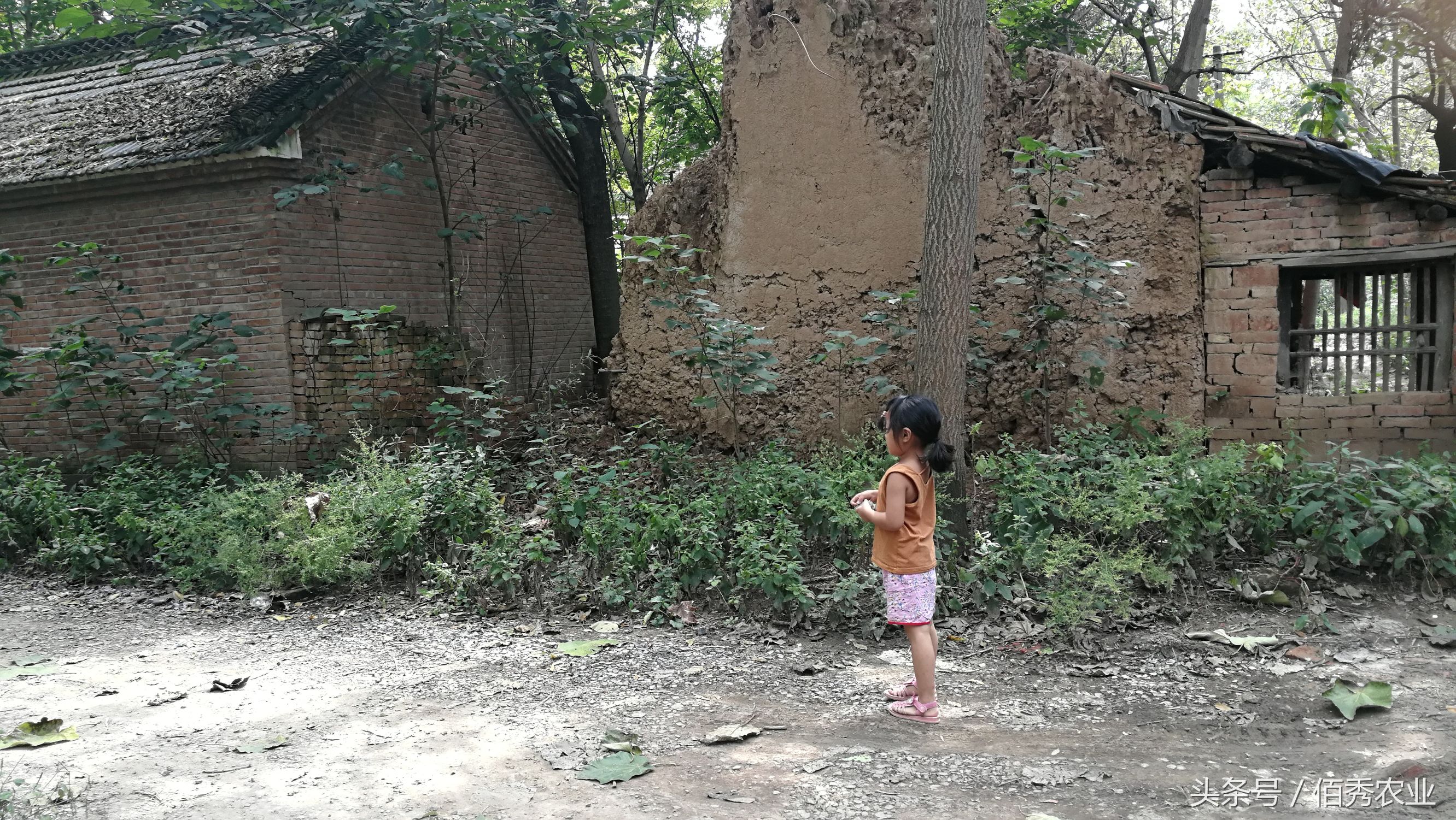 农村破房子有必要重新盖吗,农村不住人的房子怎么处理