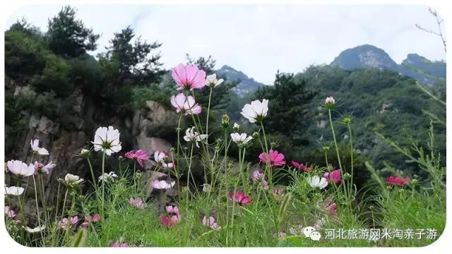 石家庄好玩的地方免费的露营地,石家庄周边户外露营哪儿好玩