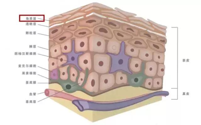 继续用这些,你的脸一定会变得很惨~