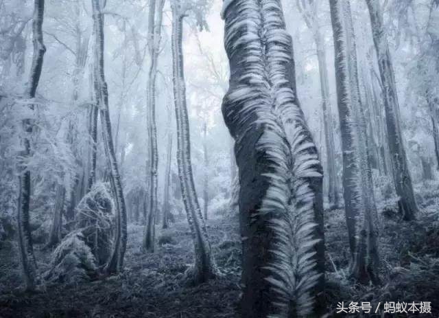 30张你一辈子也拍不到的照片,十种你一辈子都拍不到的照片