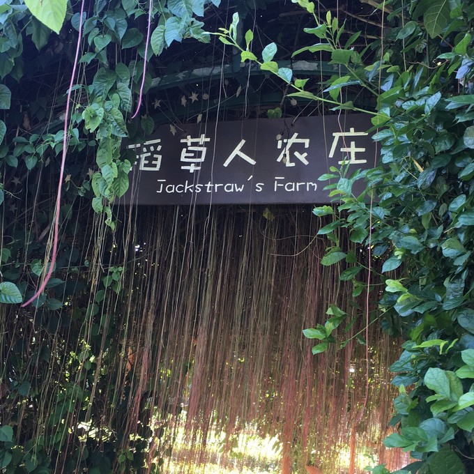 一场浪漫的三亚之旅,一场浪漫的三亚旅行