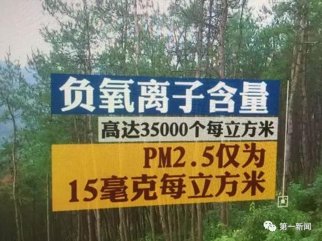 追赶超越看今朝，厉害了！我的“安康绿”！