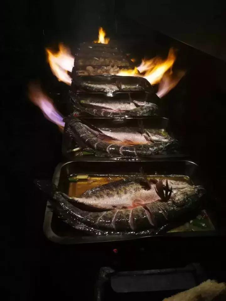 信阳烤鱼哪家好吃,信阳本地烤鱼最好吃的店