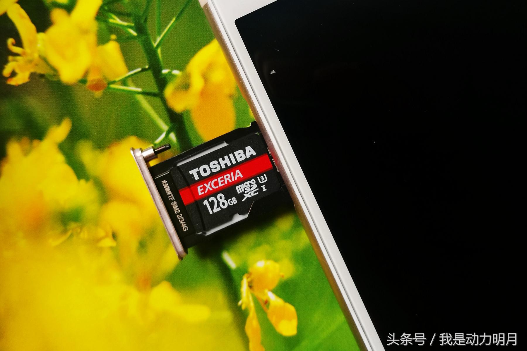 东芝m303评测,东芝m302