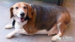 这几天，1亿网友围观徐州！爱上这里，需要多长时间？