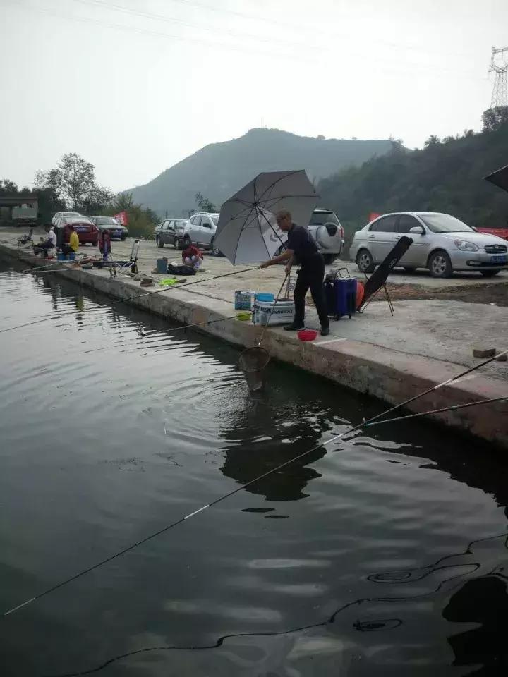 一群老大爷钓鱼,一群大爷岸上钓鱼