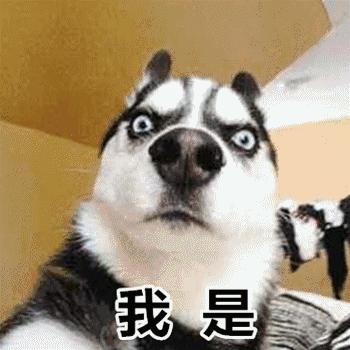 被猫爪子抓破了皮肤要打疫苗吗,被猫狗抓破皮要打疫苗吗