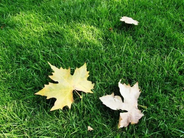 唐山今天晚上最低气温多少度,唐山今天气温多少度