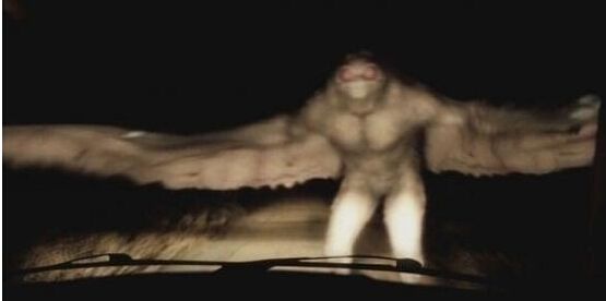 盘点全球十大恐怖怪物,世界十大恐怖海底怪物