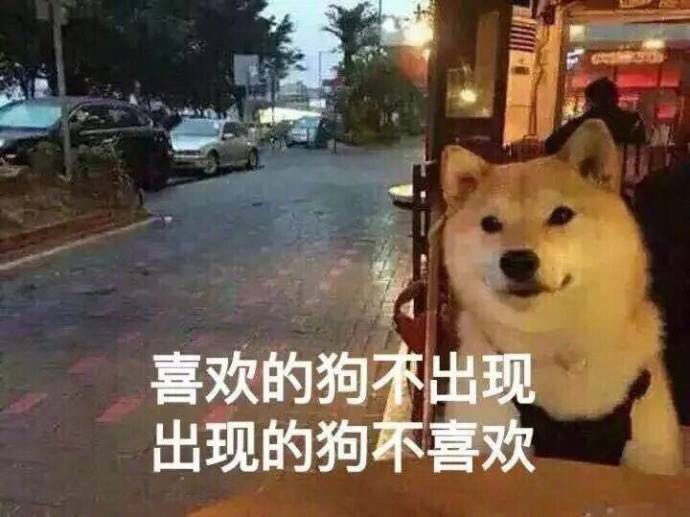 单身狗的正确处理方法,单身狗的终极结局