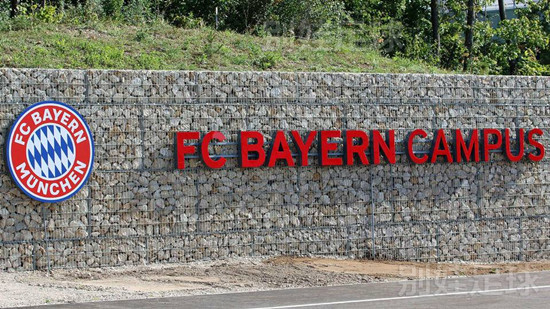 拜仁安帅为什么下课,安帅拜仁最新视频