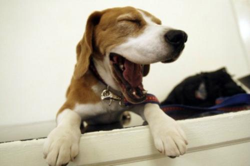 有什么方法不打瞌睡,一招不打瞌睡