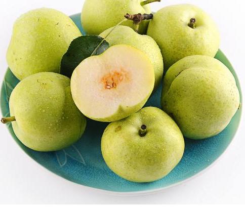 中国梨农的骄傲，你家乡种植过这些品种吗？