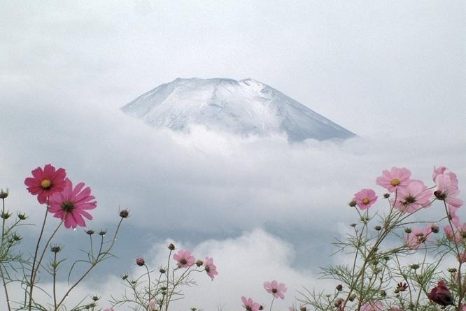 精美ppt制作软件,让你的ppt制作更高效