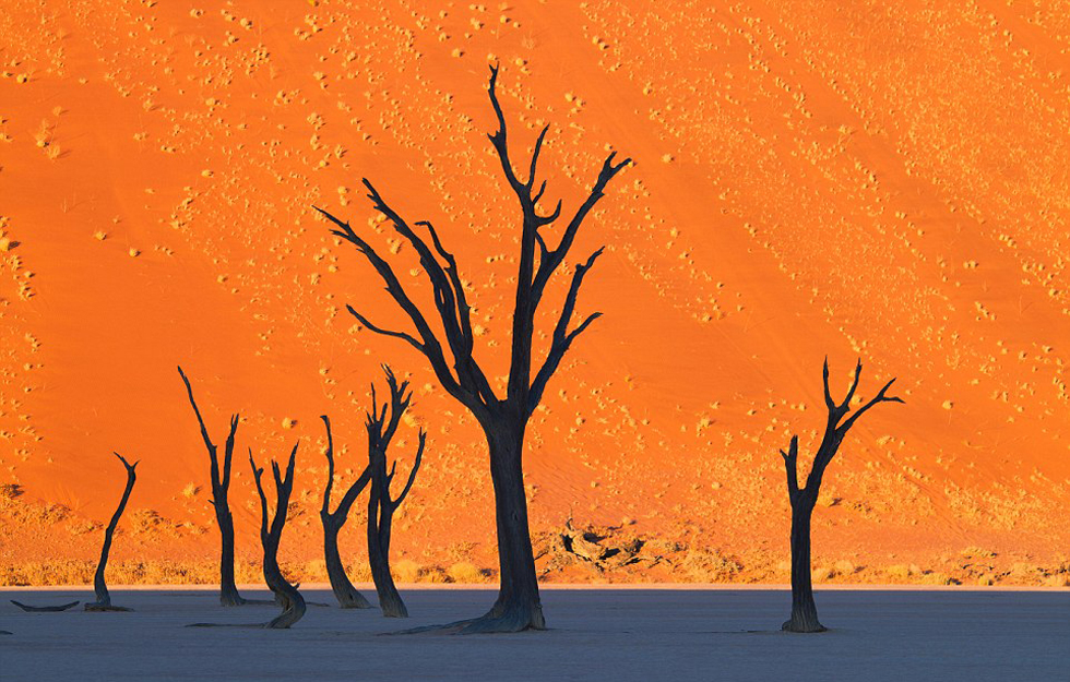 大自然神奇的自然现象,大自然中有哪些神奇的现象