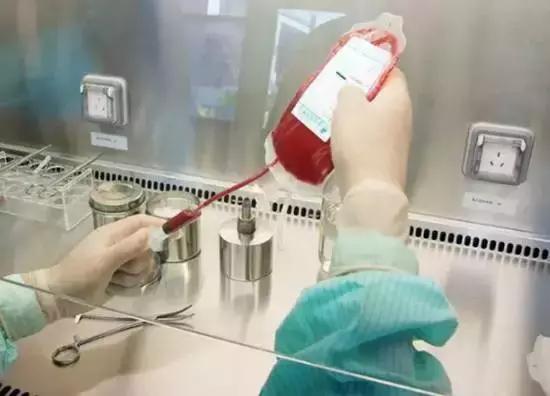 脐带血存还是捐？血液科医生最有话语权！