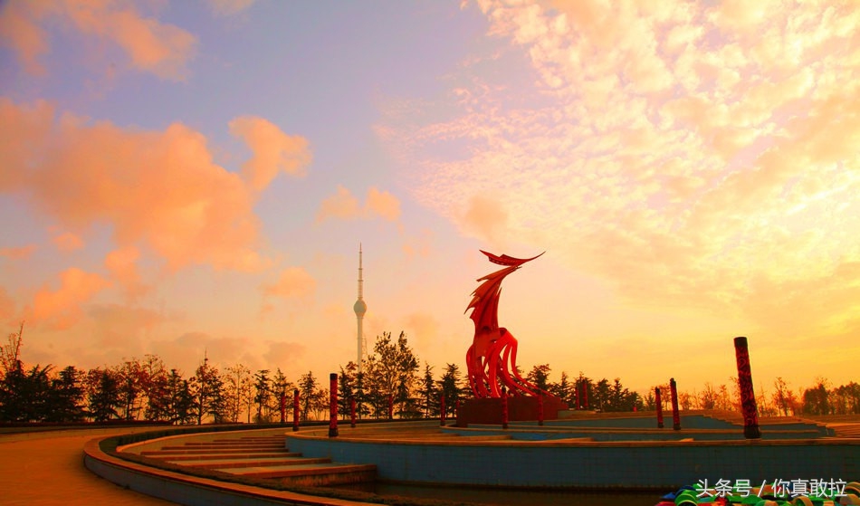 临沂360度全景视频,带你看不一样的临沂