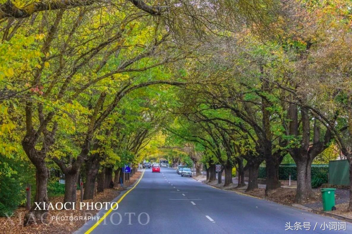 玩转南澳大利亚，这篇最全旅行攻略一定可以帮到你