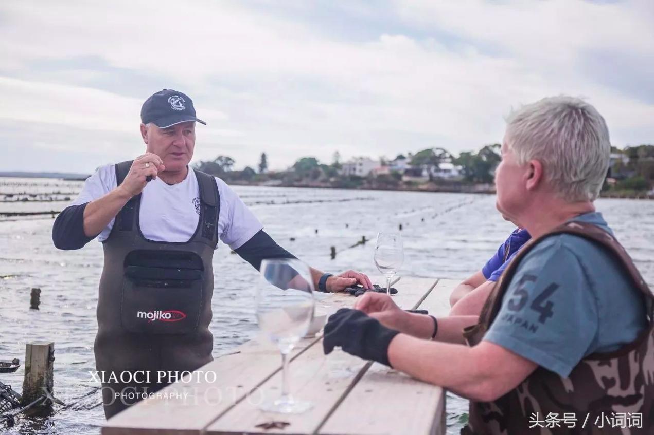 玩转南澳大利亚，这篇最全旅行攻略一定可以帮到你