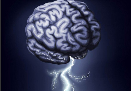 科学家用芯片操控老鼠,老鼠植入芯片实验