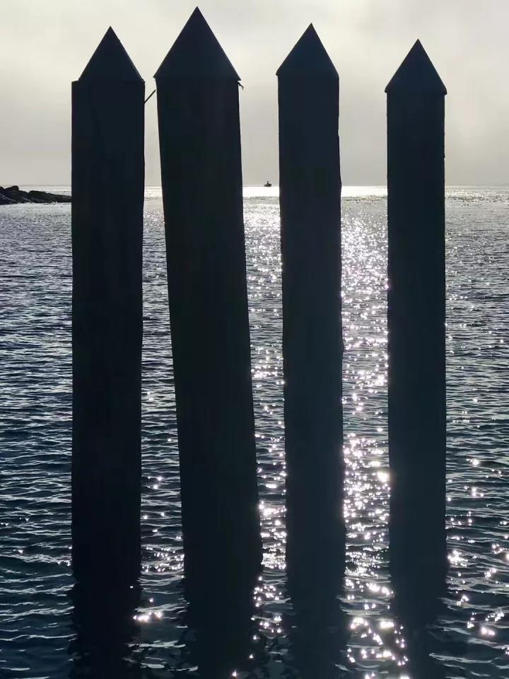 和知识丰富的人交流,与知识谈的恋爱