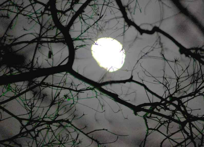 关于中秋月亮的优美诗文,中秋节夜晚的月亮真的好美