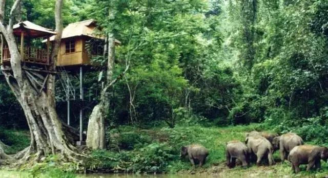 堵在路上别着急,堵在高速上不要慌