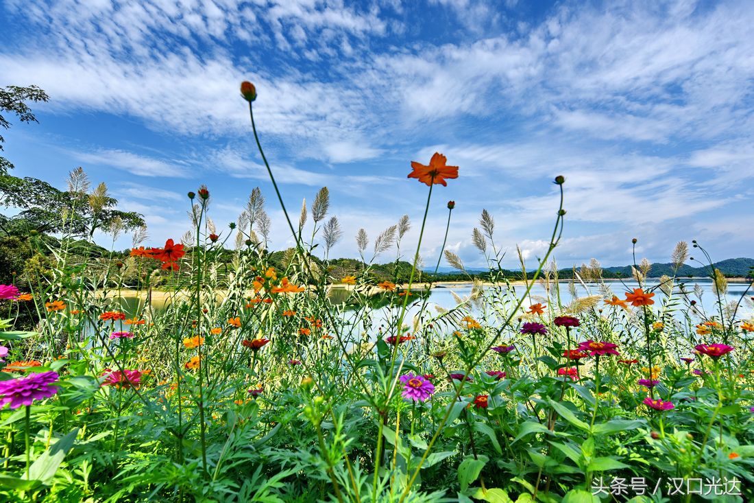 杭州西湖美景千岛湖,天下第一秀水杭州千岛湖