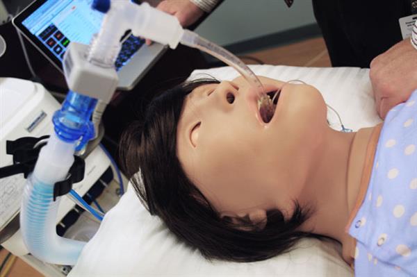 3d打印软件支撑,3d打印模型助眠