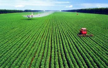 农业下半年投资方法,农业趋势投资机会