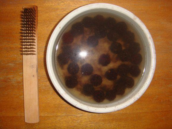 怎么清理金刚菩提的果肉,清理金刚菩提最好方法