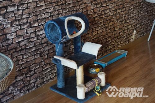 合肥潮店：喵星CatStar匆忙赶路不如蹲下撸猫