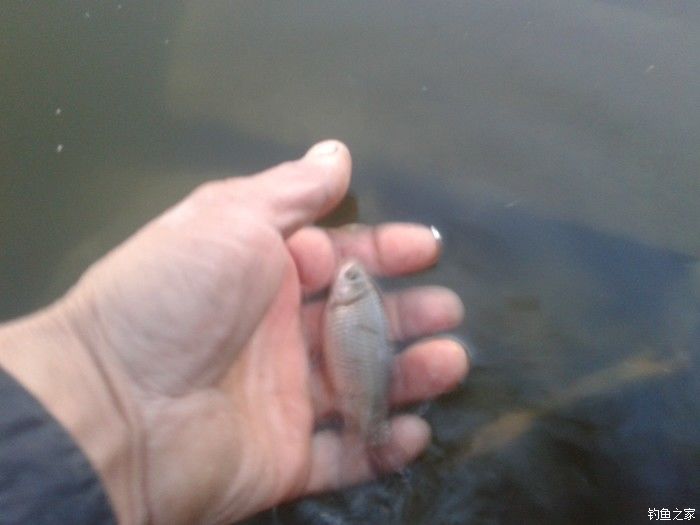 远征远征17,远征17-20