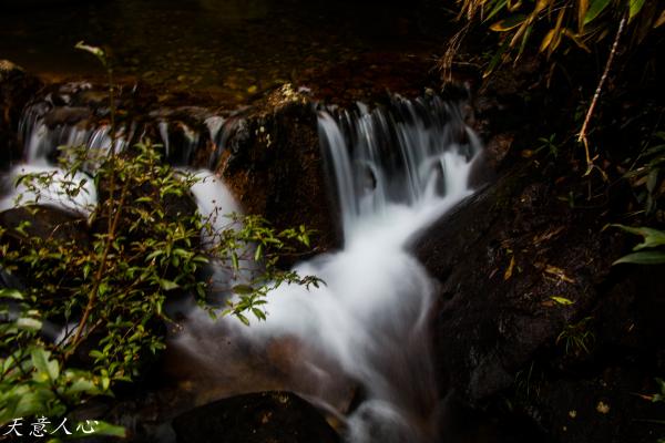 漫游武夷山之自驾游,漫游武夷记