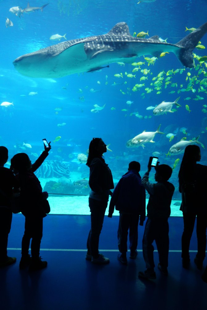 珠海长隆海洋王国2天1夜游玩攻略,最新珠海长隆海洋王国旅游攻略