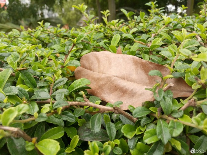 oppor9手机特色亮点,oppor9有那么好吗