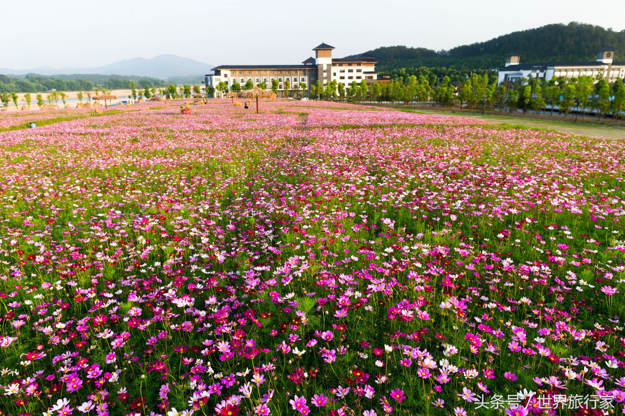 罗田三里畈温泉春节,罗田三里畈温泉和汤池温泉哪个好