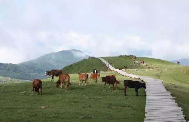 堵在路上别着急,堵在高速上不要慌