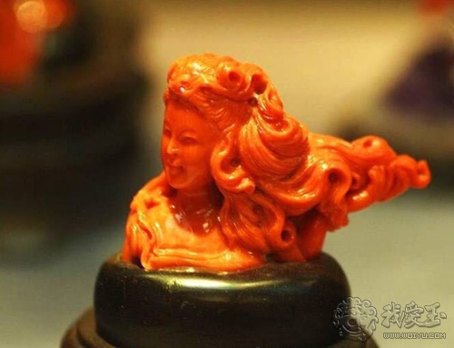 最好的红珊瑚是哪个,世界上最好的红珊瑚图片