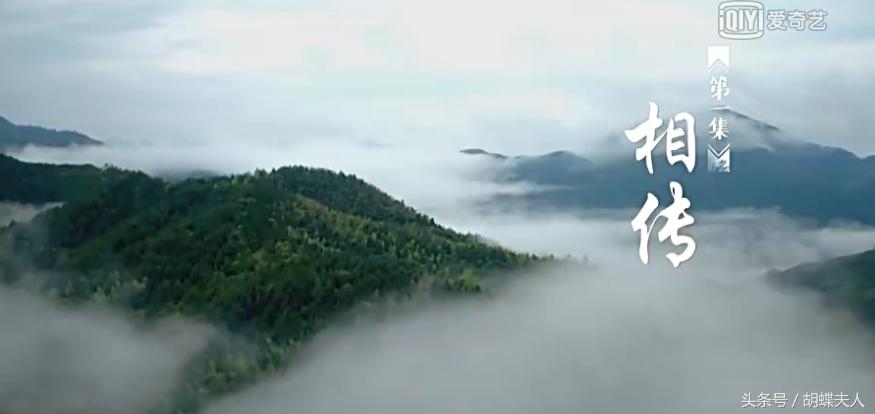 冬虫夏草？灵芝？枸杞？续断？《本草中华：相传》感受深情与传承