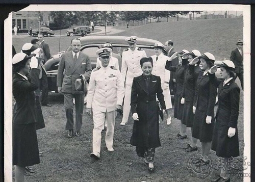 红珊瑚介绍,真正的红珊瑚是什么样的