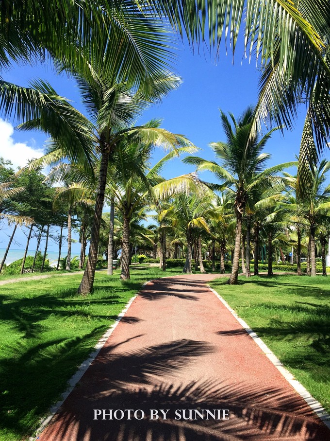 北纬十八度之三亚,北纬18度的旅行三亚游记