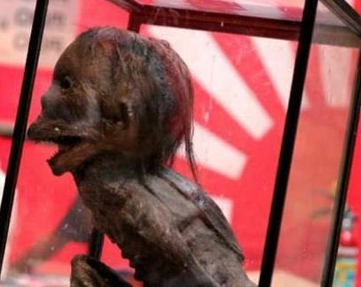 真实灵异事件揭秘水鬼亲历者讲述水猴子害人