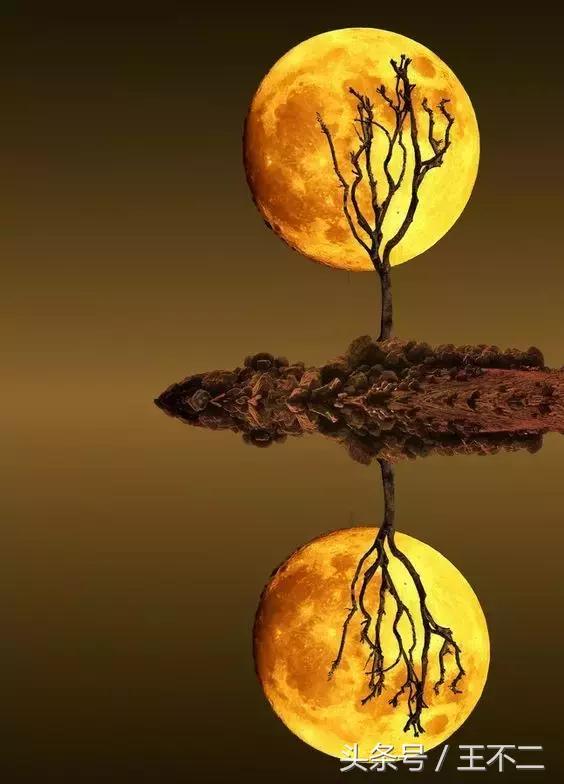 脑洞有多大故事,脑洞有多大想象就有多丰富